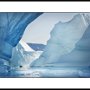 Arctic Greenland  005 